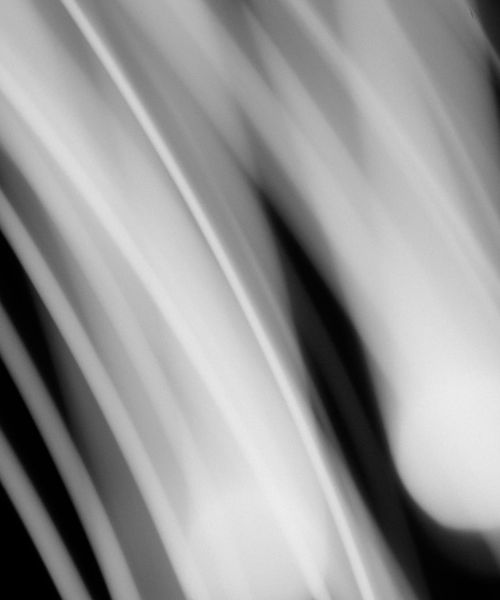 Abstract portrait of a movement expert